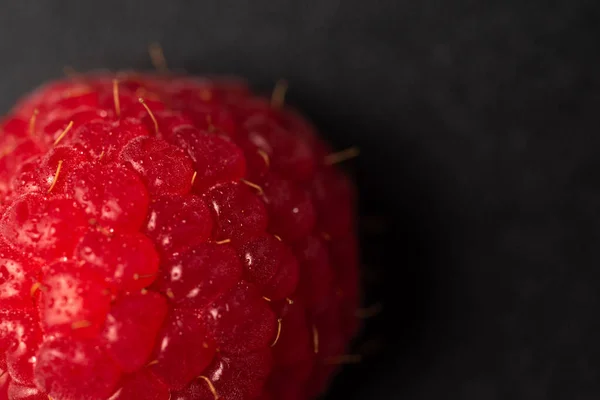 Penutup rinci dari raspberry merah tunggal — Stok Foto