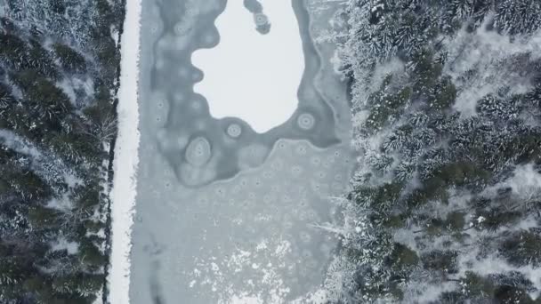 Flygfoto vid frusen sjö mitt i vinterskogen. — Stockvideo