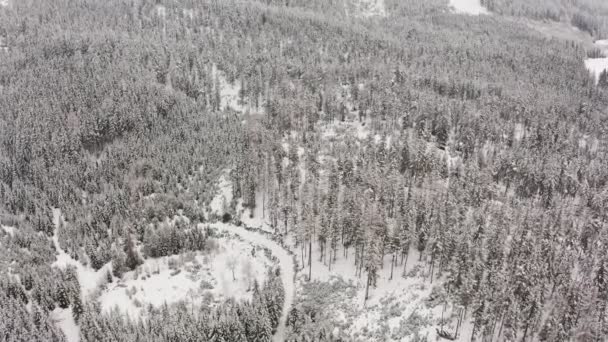 Flug über den Winterwald in Österreich, von oben. — Stockvideo