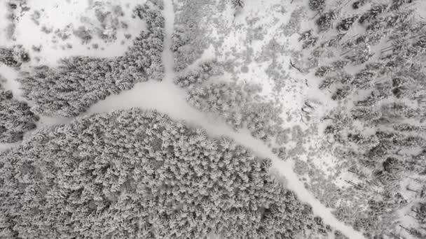 Vuelo sobre bosque de invierno en Austria, vista superior. — Vídeos de Stock