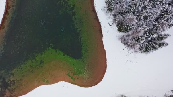 オーストリアアルプスの緑の湖のドローンショット. — ストック動画