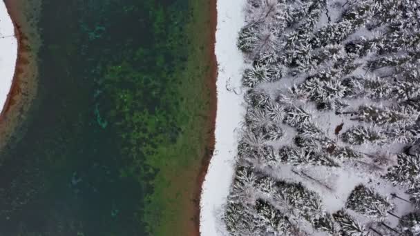 Drohnenschuss vom Grünen See in den österreichischen Alpen. — Stockvideo