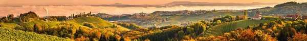 Wijnmakerij in het zuiden van Stiermarken, Oostenrijk. Panoramisch uitzicht op heuvels van wijnweg — Stockfoto