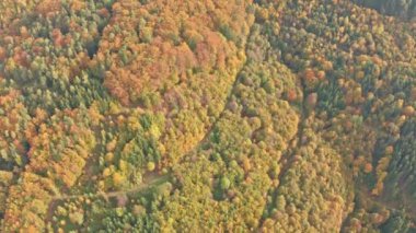 Sonbaharda günbatımında Alp Ormanı üzerindeki hava manzarası.