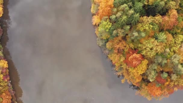 Lotnisko nad jeziorem z jesiennymi liśćmi i odbiciami drzew w Styrii, Thal, Austria. — Wideo stockowe