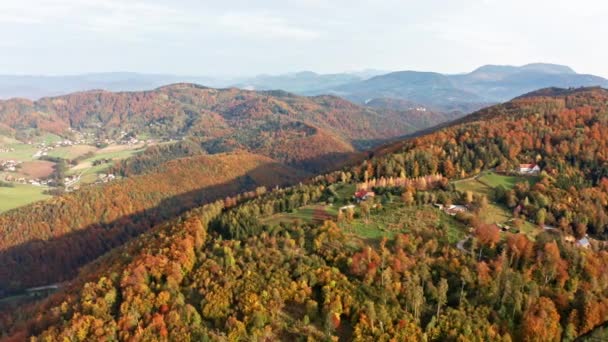 Vista aérea superior sobre a floresta alpina durante o pôr do sol no outono. — Vídeo de Stock
