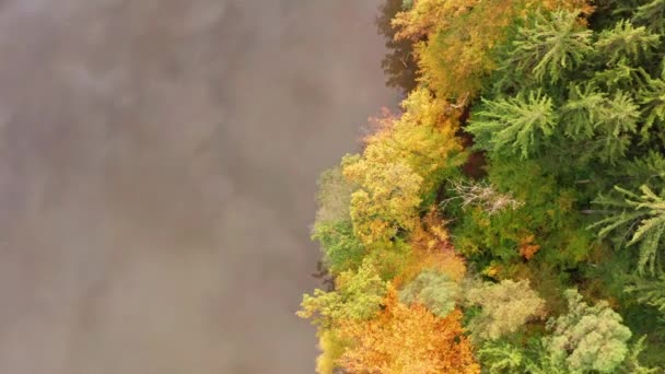 Légi kilátás alpesi erdő durring naplemente ősszel. — Stock videók