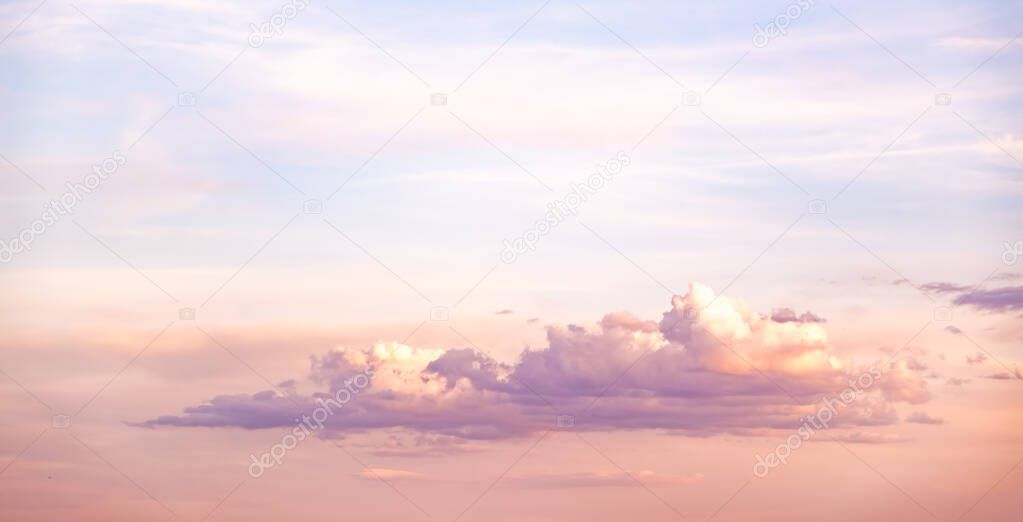 Panorama during sunset over forest with pastel colors sky