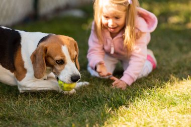 Çocuk çimlerin üzerinde köpekle oynuyor.