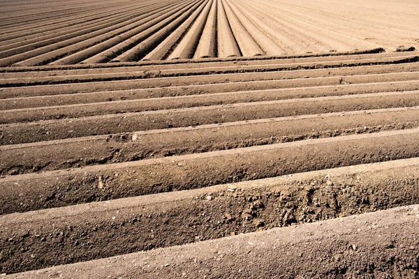 Patrón de surcos en un campo arado preparado para plantar cultivos en primavera. —  Fotos de Stock