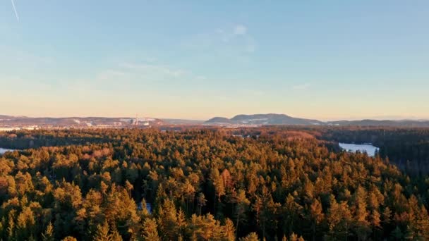 Vuelo sobre bosque alpino durante el atardecer entre sendero rural. — Vídeos de Stock