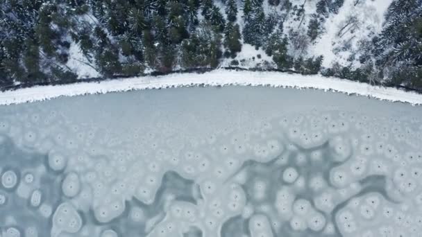 Вид з повітря на замерзле озеро в середині зимового лісу . — стокове відео