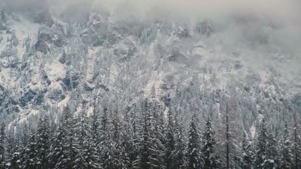 Panoramisch uitzicht op het rustige oppervlak van het Groene Meer in Oostenrijk. Het meer wordt omringd door hoge Alpen en dicht bos, weerspiegelt in de meren oppervlak. — Stockvideo