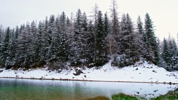 Panorámás kilátás a zöld tó nyugodt felszínén Ausztriában. A tó körül magas Alpok és sűrű erdő, tükröződik a tavak felszínén. — Stock videók