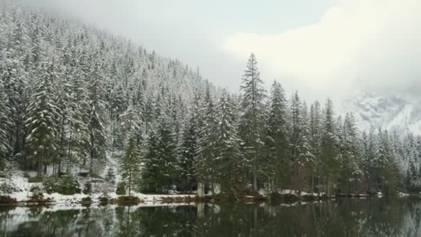 Panorámás kilátás a zöld tó nyugodt felszínén Ausztriában. A tó körül magas Alpok és sűrű erdő, tükröződik a tavak felszínén. — Stock videók