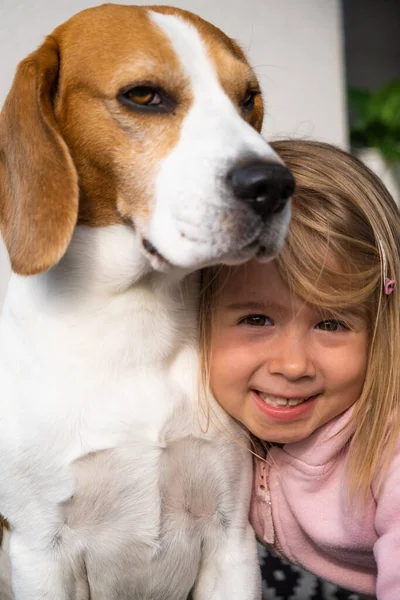 3leté dítě objímající nejlepšího kamaráda psa. Happy childhood with pet Beagle. — Stock fotografie