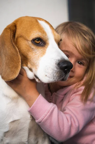 3 anos de idade criança abraçando melhor amigo cão. Infância feliz com animal de estimação Beagle. — Fotografia de Stock