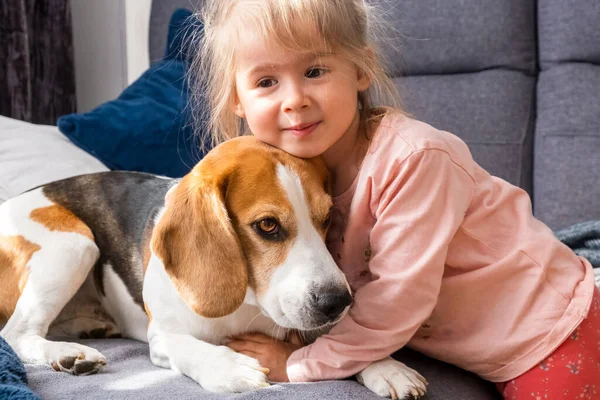 3-årigt barn kramar bästis hund. Lycklig barndom med husdjur Beagle. — Stockfoto