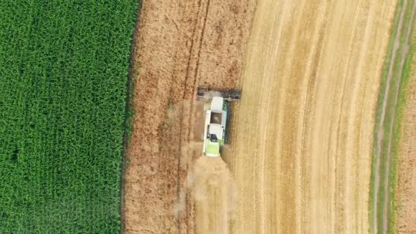 Kombiniert auf dem Feld. Luftaufnahme von Erntemaschinen. Erntezeit. — Stockvideo