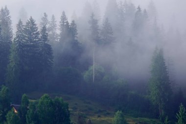 Karpat Dağları'nda sabah sis