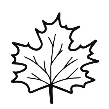Akçaağaç Yaprağı vektörü. Baskı için Doodle Illustration, arka plan, duvar kağıtları, kapaklar, ambalaj, tebrik kartları, posterler, çıkartmalar, tekstil ve mevsimsel tasarım. Beyaz arkaplanda izole.