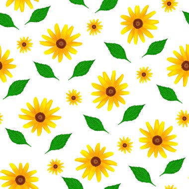 Beautiful Floral Seamless Pattern . Yellow Rudbeckia. Hand painting illustration.
