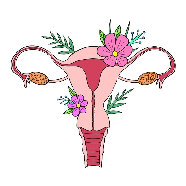 Uterus Beleza Sistema Reprodutivo Feminino Com Flores Mão Útero Desenhado — Vetor de Stock