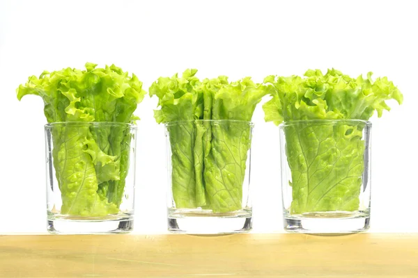Green lettuce in small glasses setting on bamboo tube — Stock Fotó