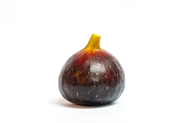 Fig-Black Genoa Gene, Ficus Fruit — стоковое фото