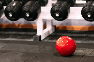 Sağlık topu altında dumbbells raf vasıl jimnastik salonu