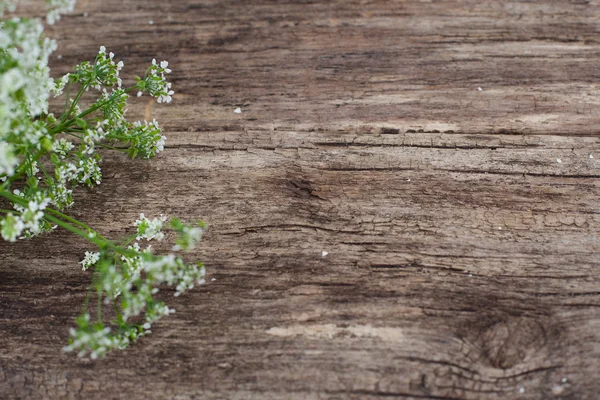Fond rustique en bois avec de minuscules fleurs, vide — Photo