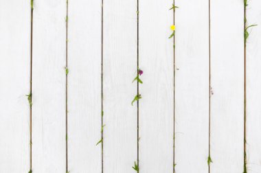 White wooden background with nature motives, void