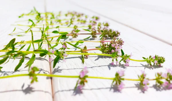 木製の背景に夏の花のクローズアップ — ストック写真