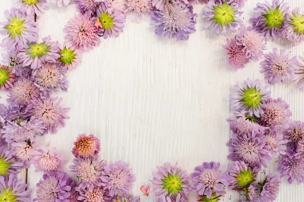 Void、白地に紫アスター花輪を捧げる — ストック写真