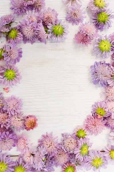 白い背景の明るい夏の花のフレーム — ストック写真