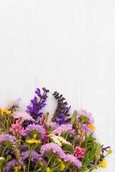 カラフルなフィールドの花の花束と空き容量 — ストック写真