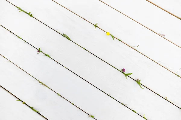 Witte houten planken achtergrond met gras — Stockfoto