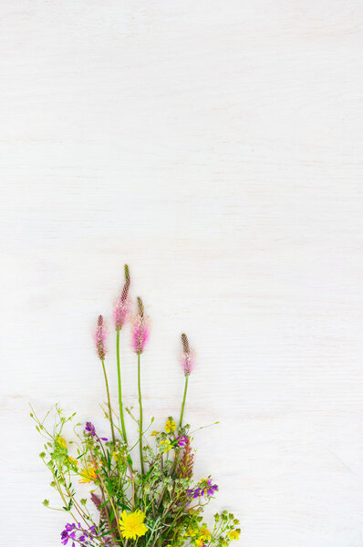 White background with wild colorful flowers, void