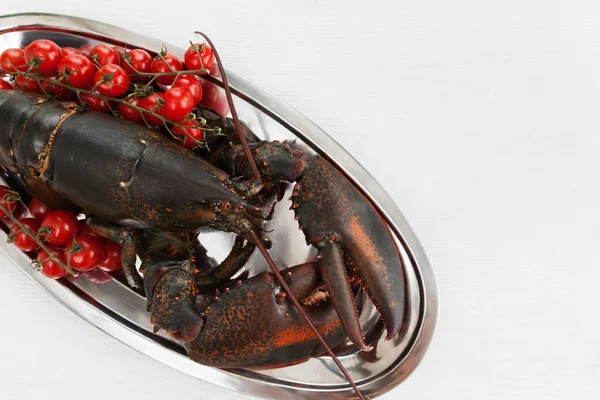 Великий сирий омарів у тарілці з помідорами, крупним планом — стокове фото