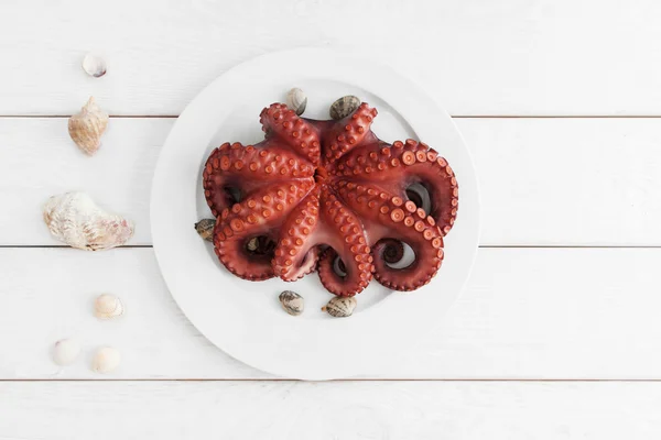 Whole fresh raw octopus on plate, copy space — Stok fotoğraf
