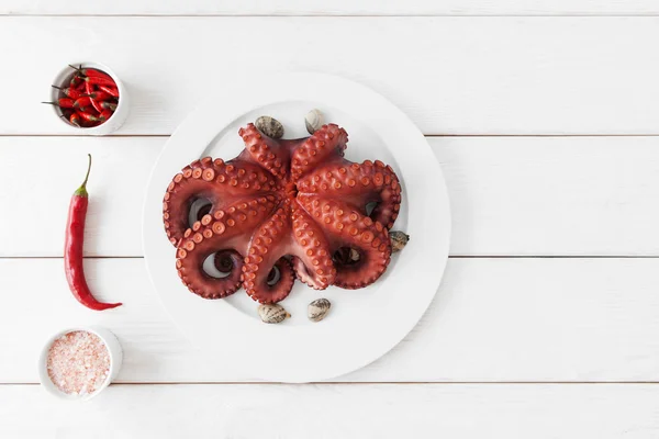 Whole fresh raw octopus on plate, copy space — Zdjęcie stockowe