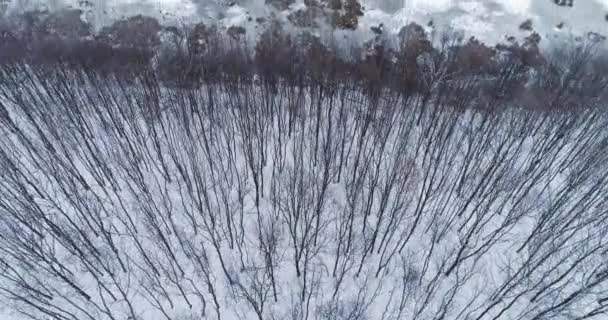 Flyover příroda pohled krajina zimní panorama — Stock video