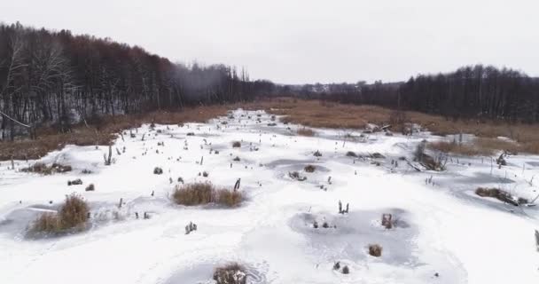Aerial snowfall landscape nature calmness peace — Stock Video