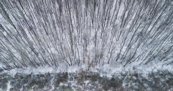 공중 풍경 겨울 풍경 눈으로 본 풍경 — 비디오