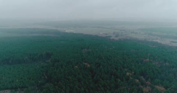 Drone krajobraz widok wczesnym rankiem zielony las — Wideo stockowe