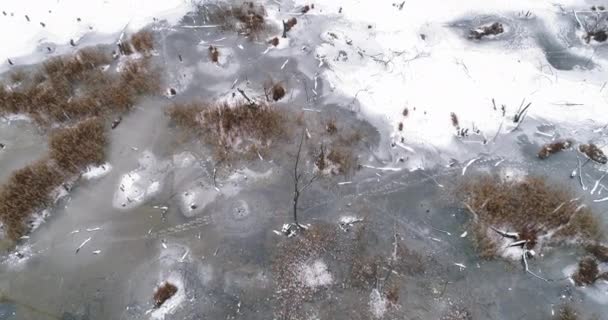 Letecký pohled zimní sezóna krajina — Stock video