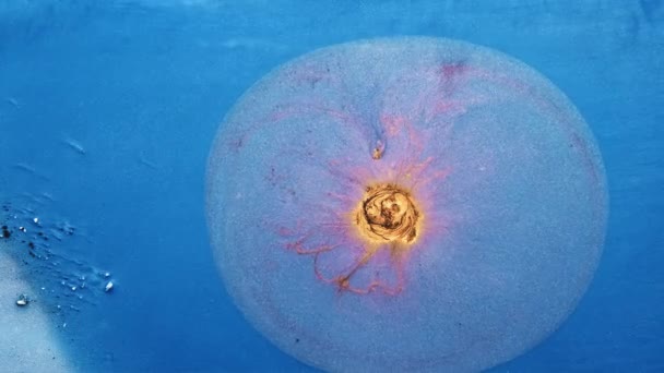 잉크가 흐르는 금빛 액체가 파란색으로 물보라처럼 흐르다 — 비디오