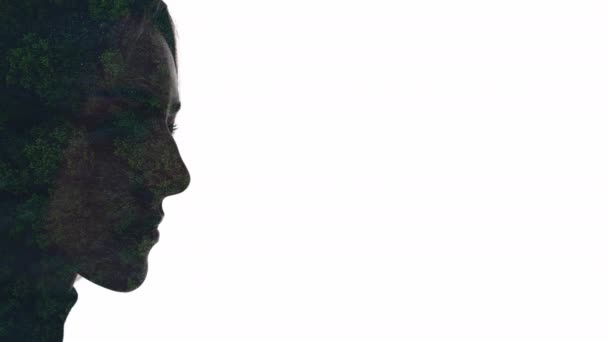 Подвійна експозиція силует лісовий пил жінка обличчя — стокове відео