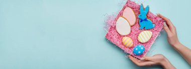 Mutlu Paskalya bayramı süsleri tavşan yumurta kutusu elleri