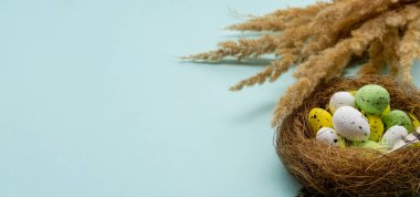 Paskalya dekoru tatil kompozisyonu Yumurta Yuvası